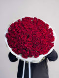 RED ROSES 101 PIECE