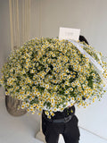 FLOWERS BOUQUET WITH TANACETUM